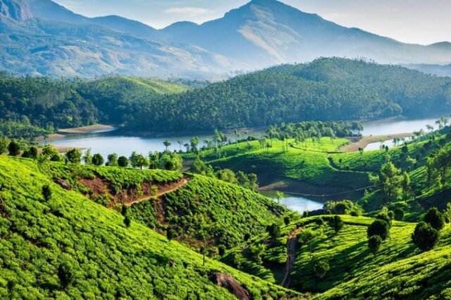 Munnar Hills Tour – Breathe in the Green!
